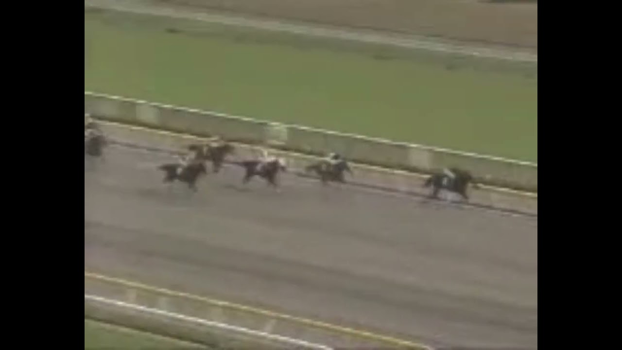 Poofesure’s reaction to Broad Appeal’s miraculous comeback win (My 25th Birthday Special!)