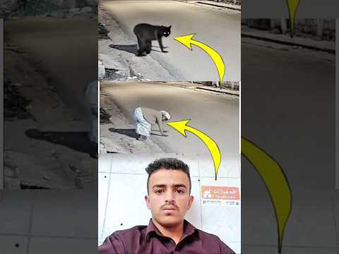 ترتجف جنود الظلام وتسقط كل الشيطان أمام قلب قال الله أكبر  اكسبلور  