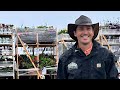 Garden tour of a freshly planted hotel iroquois