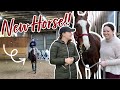 FINDING my friend her FIRST HORSE!! | Hailey Liberty