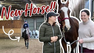 FINDING my friend her FIRST HORSE!! | Hailey Liberty