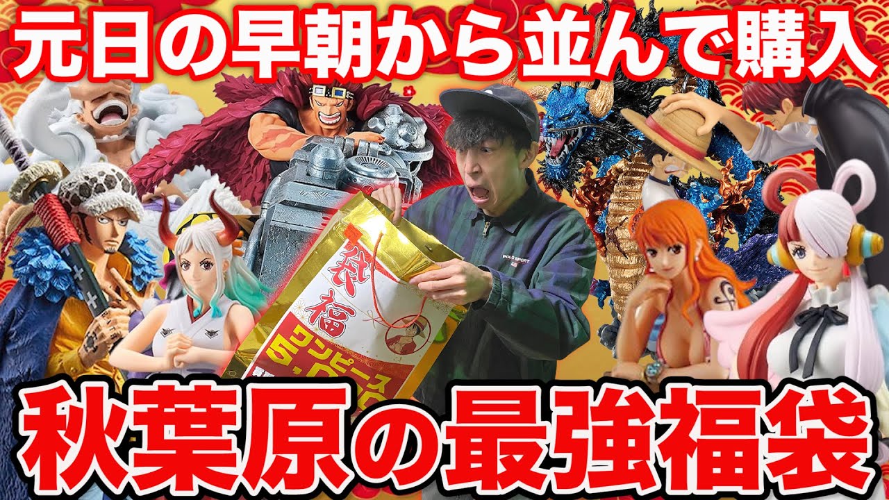 ワンピースフィギュア等　福袋 福袋】ワンピース！秋葉原の福袋ってこんな強いの？歓喜のフィギュア