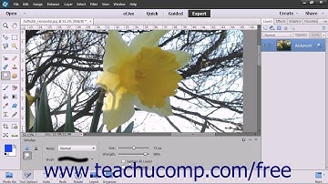 Photoshop Elements 13 Tutorial The Smudge Tool Adobe Training