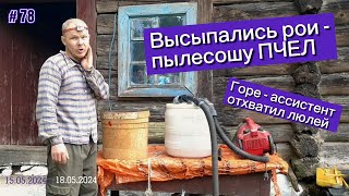 Высыпались РОИ - пылесошу пчел. Горе-ассистент отхватил люлей.