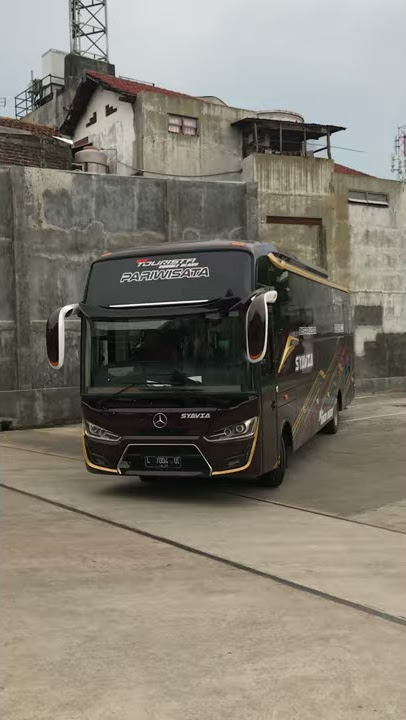 JEMBER BUS MERCY OF917