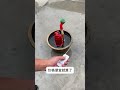 #WaterPump #WaterPumping #WateringFlowers #WateringVegetables 10.25 Linlin