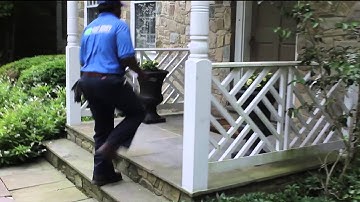 1-800-got-junk welcome video