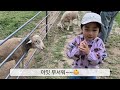 울산하늘목장에 먹이주러 김나연우네 출동 ! 생각보다 크고 동물도 많고 깨끗했어요 @김나연우네 #먹이주기 #하늘목장