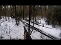 Охота на путике. Проверяю капканы и маню рябчиков (Будни охотника и рыбака)