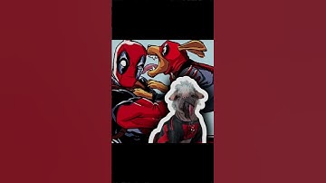 Dogpool in Deadpool 3 movie | Deadpool and Wolverine  #deadpoolandwolverine #dogpool #deadpool