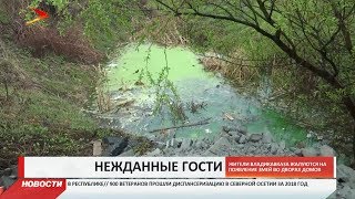 Видео Жители Владикавказа жалуются на появление змей во дворах домов от iRYSTON TV, улица Цаголова, Владикавказ, Россия