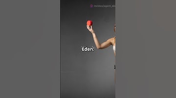 Unveiling the Hidden Secrets in Famous Logos!