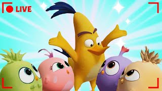 🔴 LIVE Angry Birds | Monthly Mega Mix