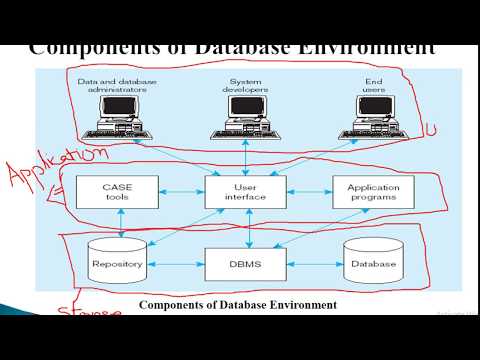 Components of Database