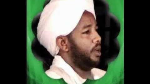 الشيخ الزين محمد احمد  سورة ال عمران والنساء