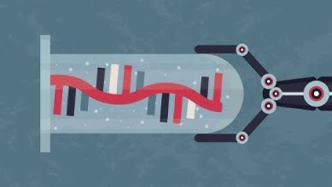 Submerge in the Oligonucleotide Emerge: Best Practices for Developing These Complex Biologics