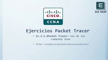 11.3.3.3 Packet Tracer: Uso de los comandos show