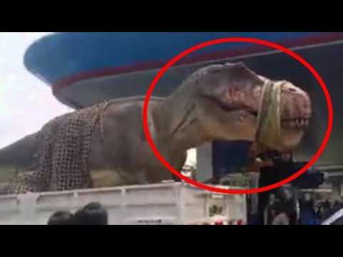 15 Animales Extintos