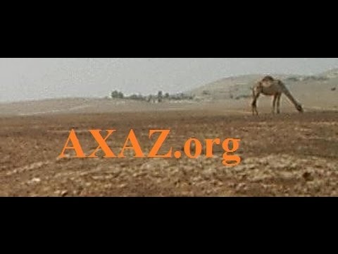 241. Йорам Лемельман.