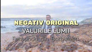 Negativ Original- Valurile lumii. Fernando din Barbulesti