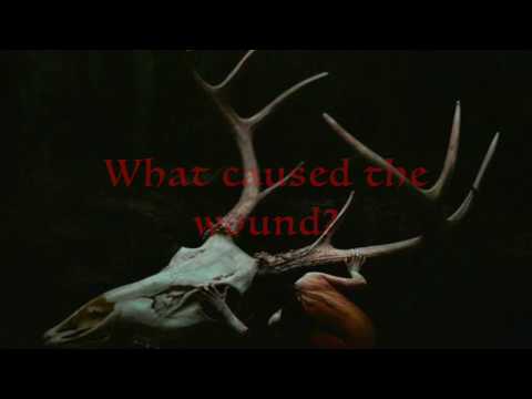 Hozier: In The