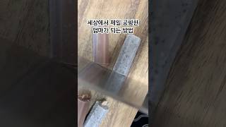 솔로몬이 되..😂 #싸우지마 #자매 #육아 #육아브이로그