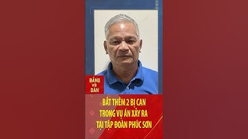 Bắt thêm 2 bị can trong vụ án xảy ra tại Tập đoàn Phúc Sơn | Đảng với Dân #shorts