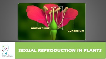 SEXUAL REPRODUCTION IN PLANTS