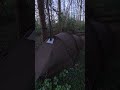 Hot tent camping in the woods #hottent #camping @POMOLY