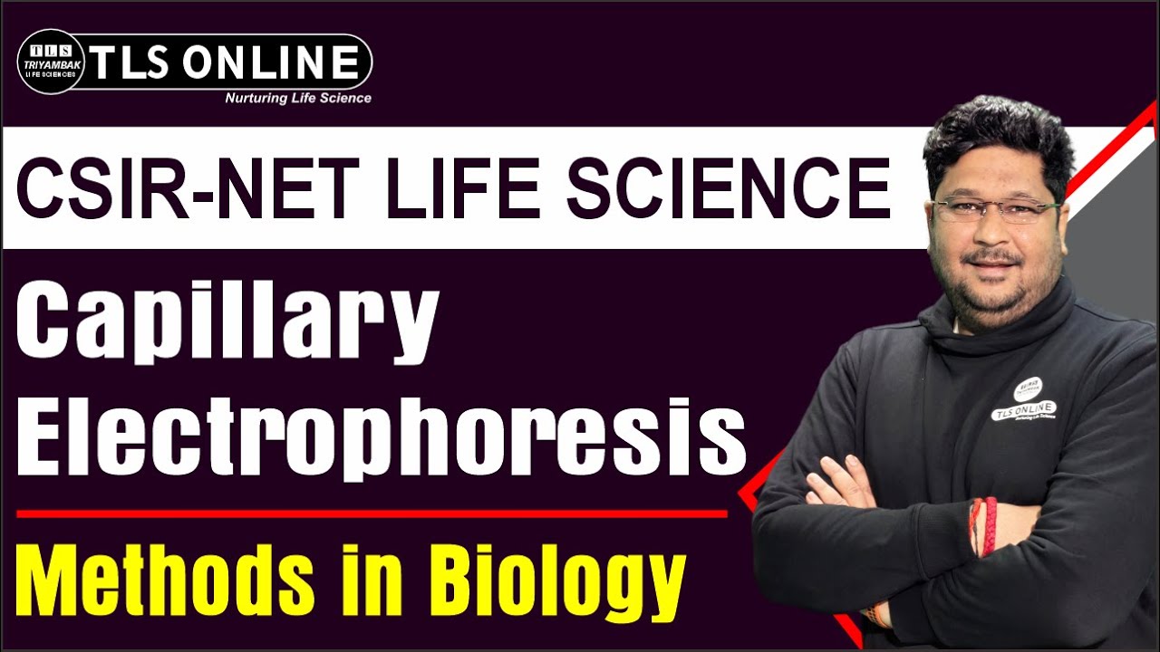 Capillary Electrophoresis | 50 Most Important Points | CSIR NET Dec'2024' | Ashish Kr Dwivedi |