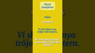 Tröja Sweater Swedish Noun Forms