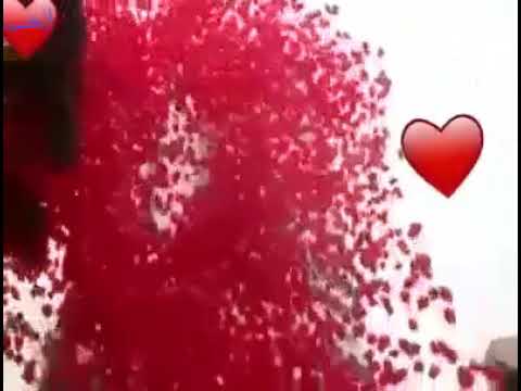 حبيت اقولك كل سنة وانت طيب