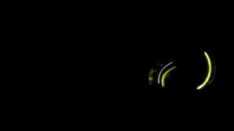 inova microlight light show