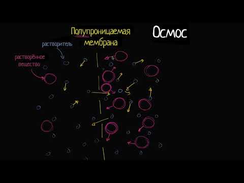 Видео: Почему осмос важен для растительных клеток?