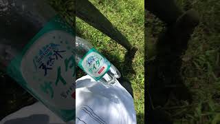IMG 6816