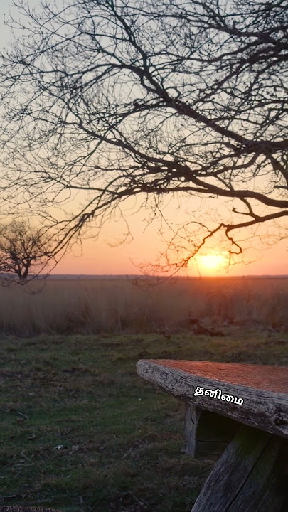 Thanimaiye whatsapp status #thanimaiwhatsappstatus #trendingshorts #thanimaiye #thanimai_kadhalan