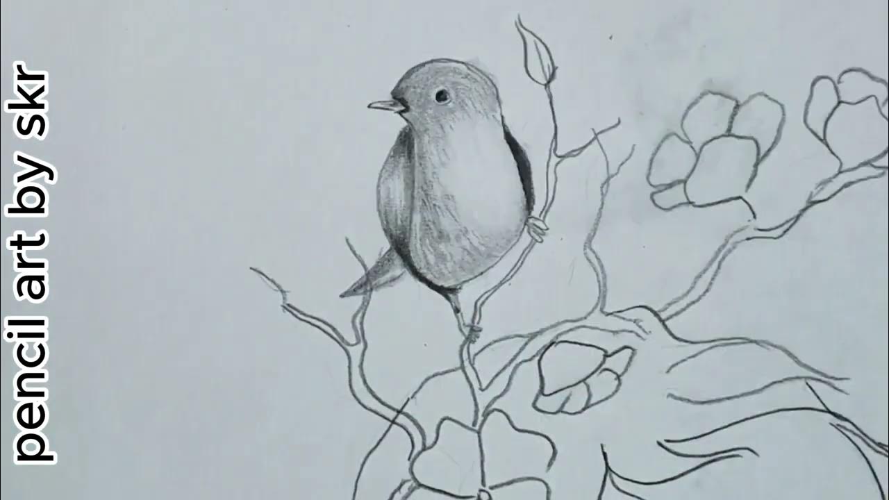 How is the bird turning black drawing? YouTube