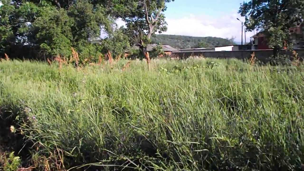 FujiFilm JX500 Sample video 720p