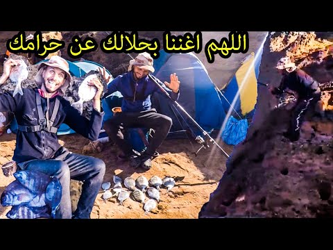 اسهل طريقة صيد سمك شرغو بطريقة احترافية تصلح في اي مكان في العالم