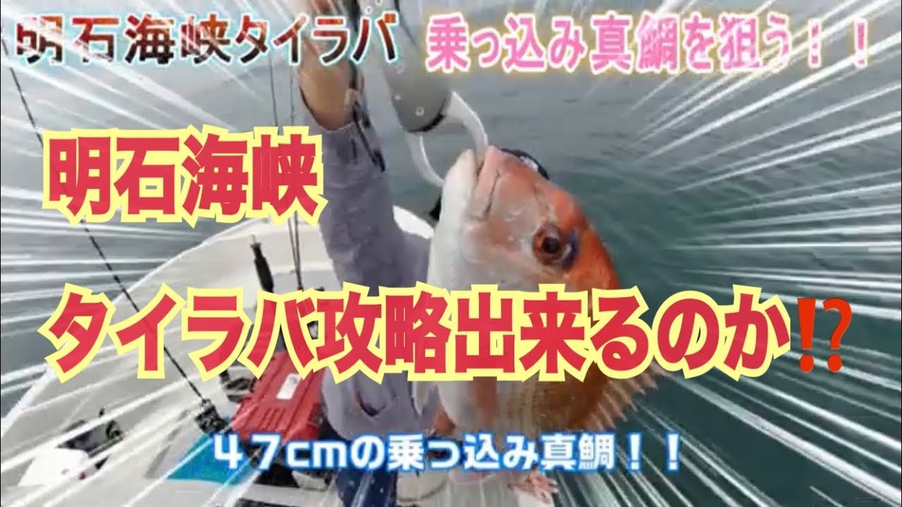 明石海峡でタイラバ 鯛ラバ5月中旬に乗っ込み真鯛攻略できるのか Youtube