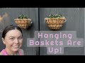 Hanging baskets are up  