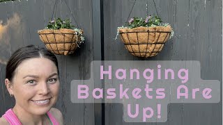 Hanging Baskets Are UP!