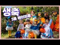 혼이 탈탈 4살 생일파티 🎂  할로윈 🎃 파티룸 #오후스테이ㅣHalloween ㅣbirthday party