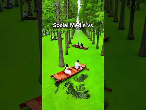 Social Media Expectations
