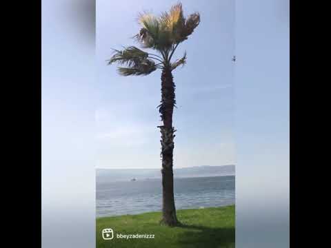 Sekapark izmit Kocaeli