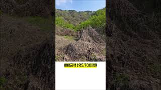 [매매] 횡성군 서원면 금대리, 한적하게 조용히 힐링 가능 소하천이 가까이 있는 귀농귀촌 전원생활 추천 토지 [705]