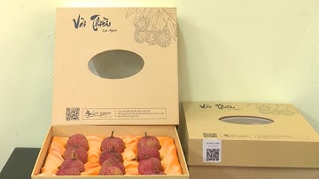 Bắc Giang: Lần đầu tiên sản xuất vải thiều hữu cơ