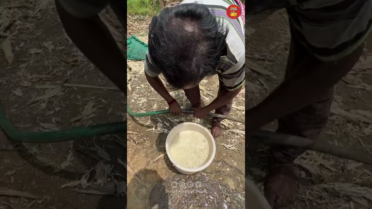 Traditional JAGGERY MAKING |Jaggery Making Process from SUGAR CANE - Indian Street Food -Street Food | South Indian Food