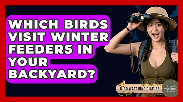 Which Birds Visit Winter Feeders In Your Backyard? - Bird Watching Diaries