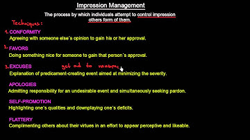 Impression Management | Organisational Behavior | MeanThat